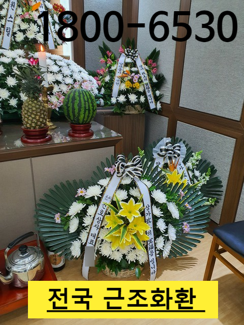  부산 양산대학교병 장례식장 근처 근조화환 추천받아 주문해보니 착한가격 총알배송 대만족 꽃배달 서비스