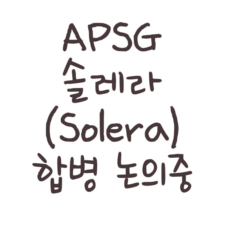  APSG 솔레라 홀딩스(Solera Holdings) 합병 논의중