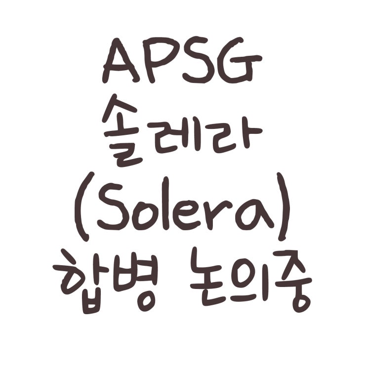 APSG 솔레라 홀딩스(Solera Holdings) 합병 논의중