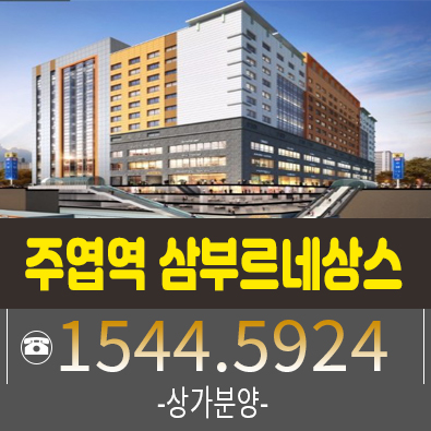 주엽역 삼부르네상스 상가분양 소식! - 지하철과 연결되는 상가