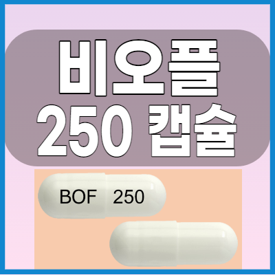  비오플250mg캡슐 정장제 효능과 복용법 알아봅시다