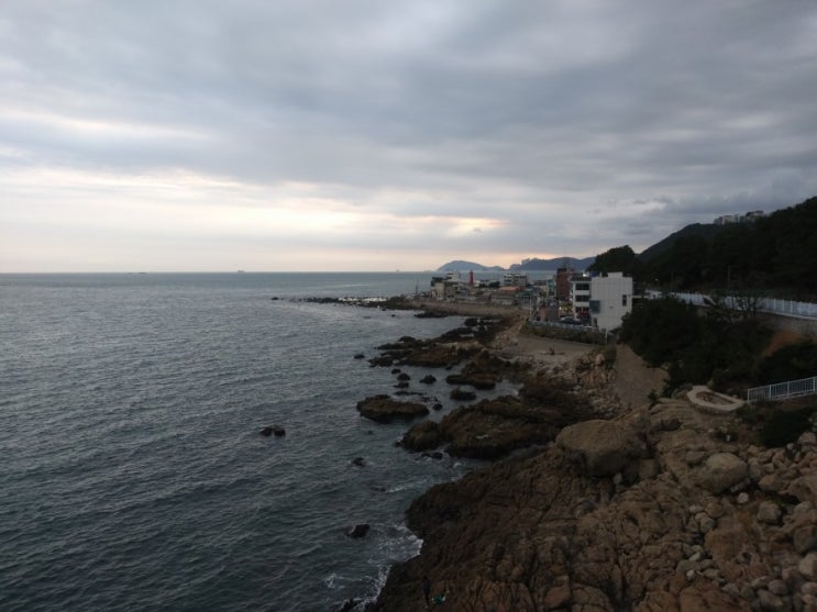  부산여행)분위기있는데이트 청사포/ 스카이워크 다릿돌전망대/ 조개구이