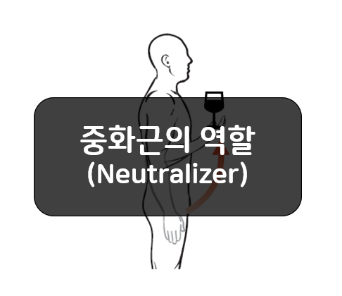 중화근(Neutralizer)의 역할에 대해 알아보자!!