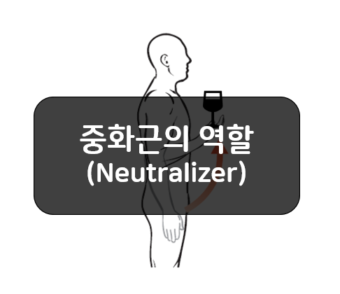  중화근(Neutralizer)의 역할에 대해 알아보자!!