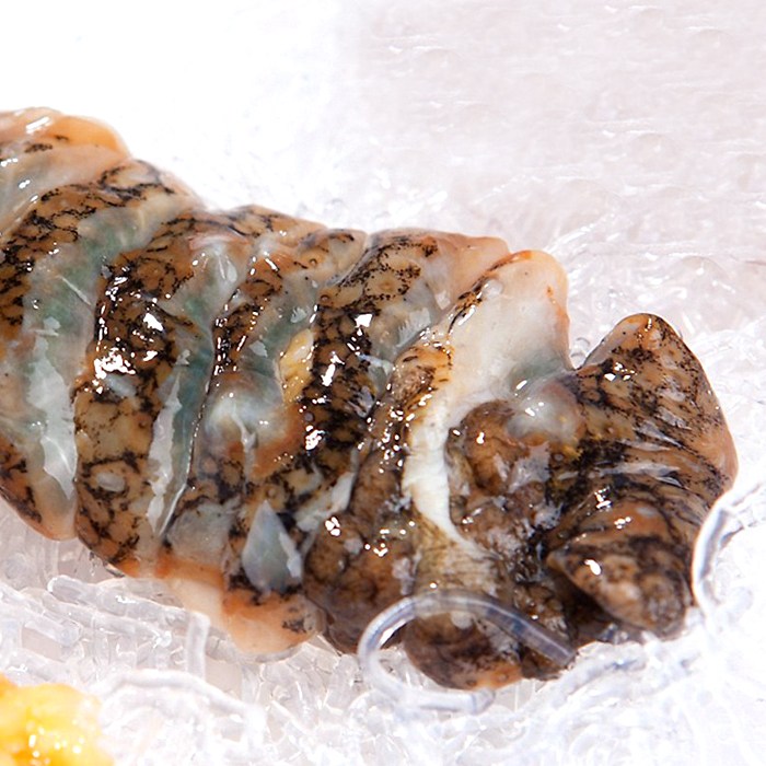 잘팔리는 국내산 해삼 500g 삼천포 자연산 활해삼 중식요리 천연강장제, 1개 ··· 잘팔리는 국내산 해삼 500g 삼천포 자연산 활해삼 중식요리 천연강장제, 1개 ···