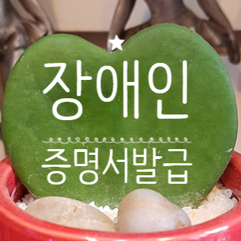장애인증명서 발급 연말정산 장애인증명서 발급 암환자 장애인증명서 치매환자 장애인증명서 장애인추가공제 장애인증명서