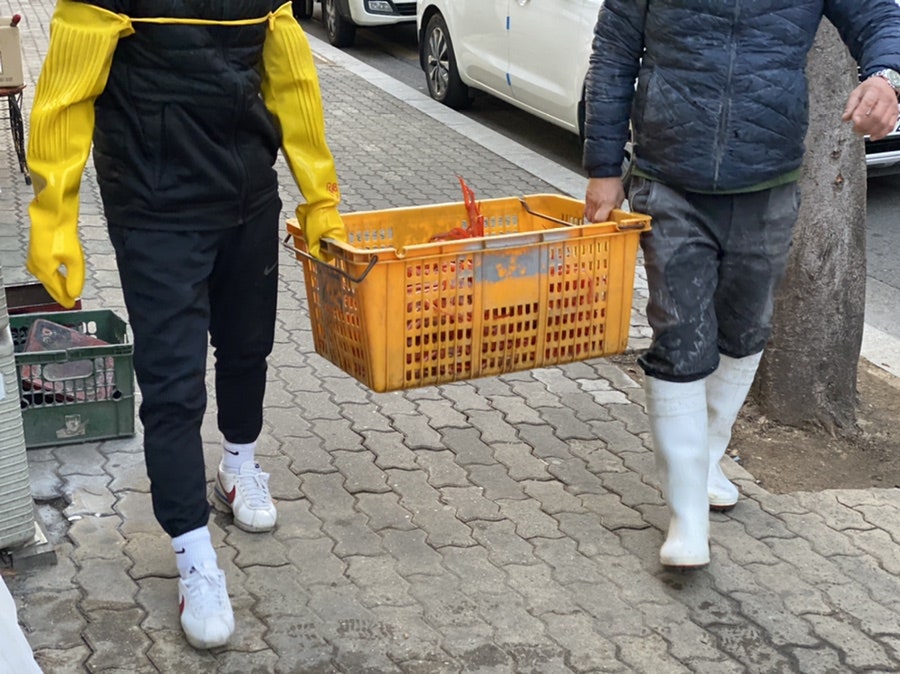 다미회 사진 2