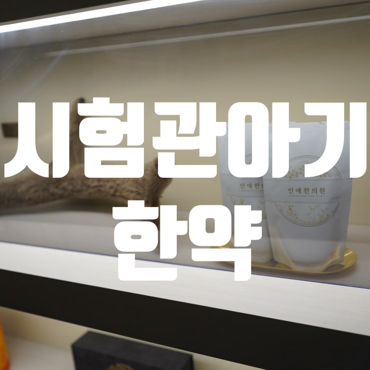  강서시험관아기한약 조금이라도 성공률을 높이기위해서