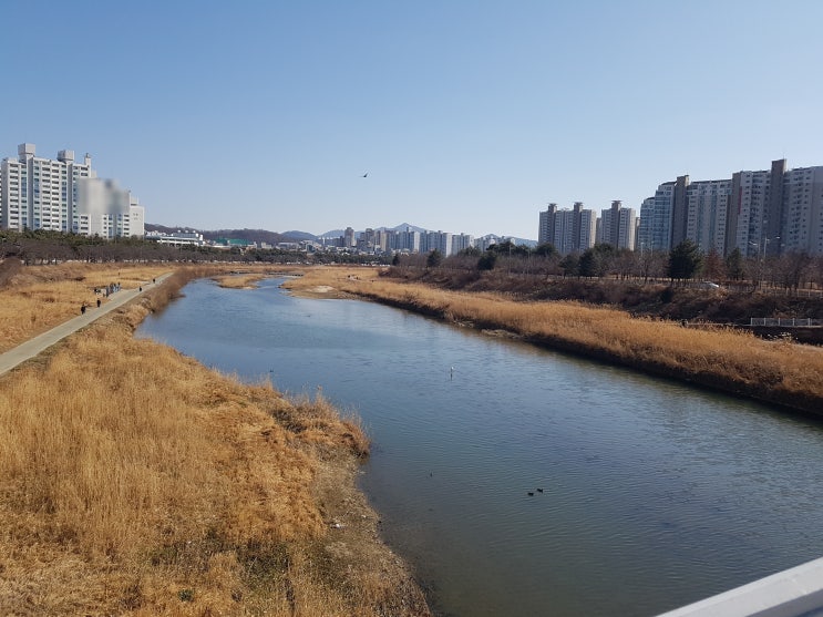 쉬운 글을 쓰는 방법에 대해