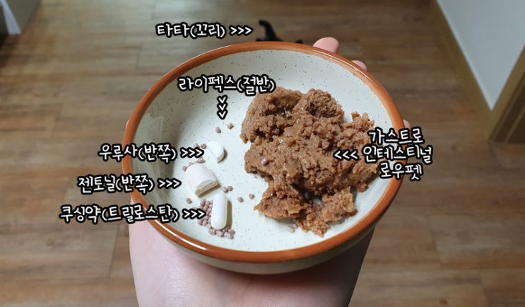  <타타가 먹는 약> 건강 관리 일지 -10-