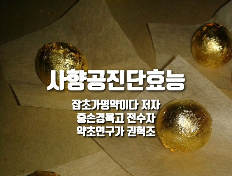  사향공진단효능