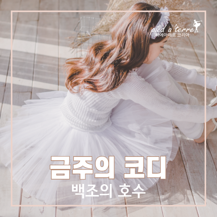  유아 발레복 코디 | 삐에아떼르 백조의 호수 4종 세트 (니트워머 증정)