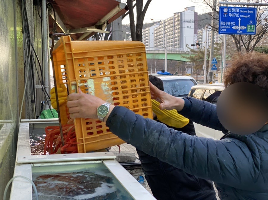 다미회 사진 4