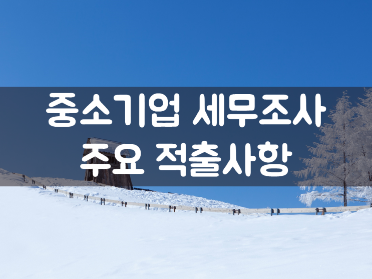  중소기업 세무조사 주요 적출사항