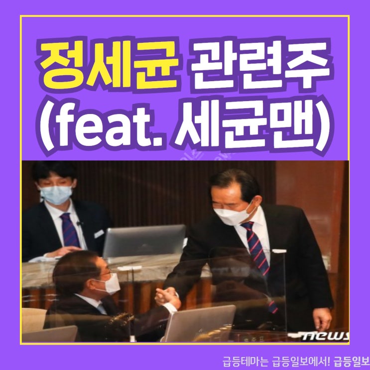 정세균 관련주 by 급등일보 정세균 관련주 by 급등일보