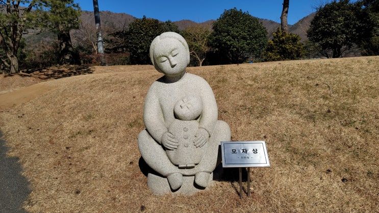  전남 보성CC 겨울 골프라운딩