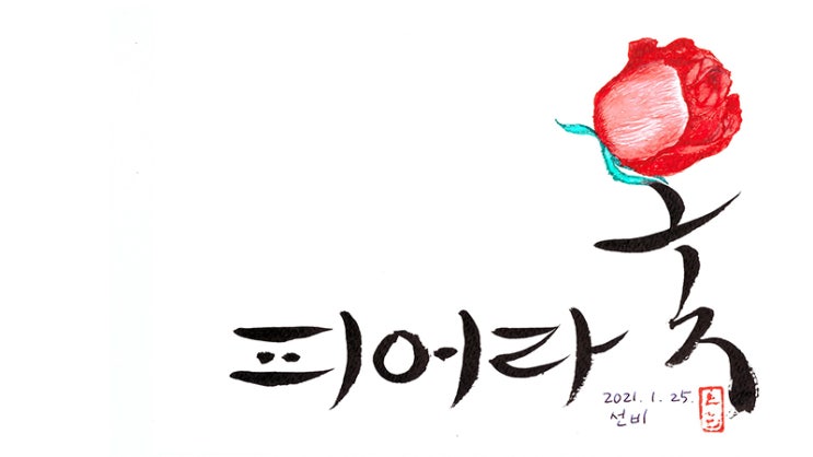  캘리 씨, 함께 춤출래요? / 써보자 캘리그림 / 캘리그라피