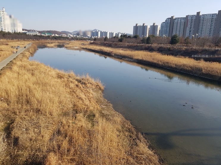  균형이 크면 독서해도 인생이 안바뀔 확률이 높다?