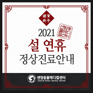 2021년 설 연휴 정상진료 (부산 설날 동물병원)