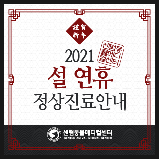  2021년 설 연휴 정상진료 (부산 설날 동물병원)