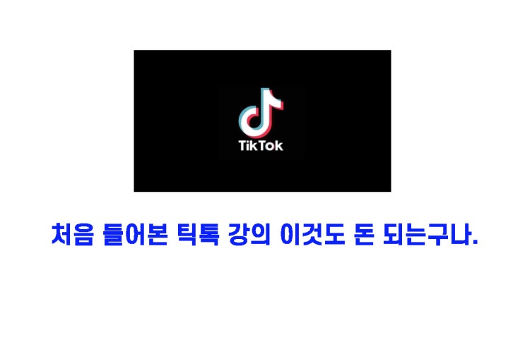  처음 들어본 틱톡 강의 이것도 돈 되는구나