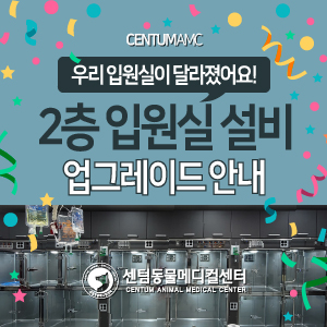  2층 입원실 설비 업그레이드 안내 (부산 24시간 입원 모니터링 동물병원, 센텀동물메디컬센터)