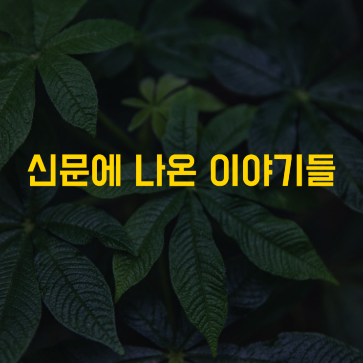  신문에 나온 알아두면 좋을 이야기들