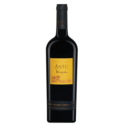 안투 까베르네 쇼비뇽 와인  Antu Cabernet Sauvignon
