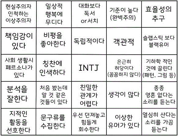  MBTI : INTJ 특징 - 용의주도한 전략가에 대하여
