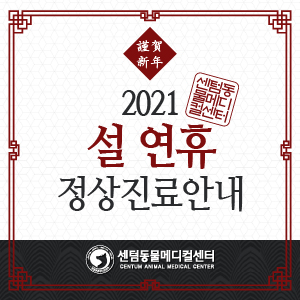  2021년 설 연휴 정상진료 안내 (부산 수영구 남구 연제구 휴일 일요일 설날에 여는 동물병원)