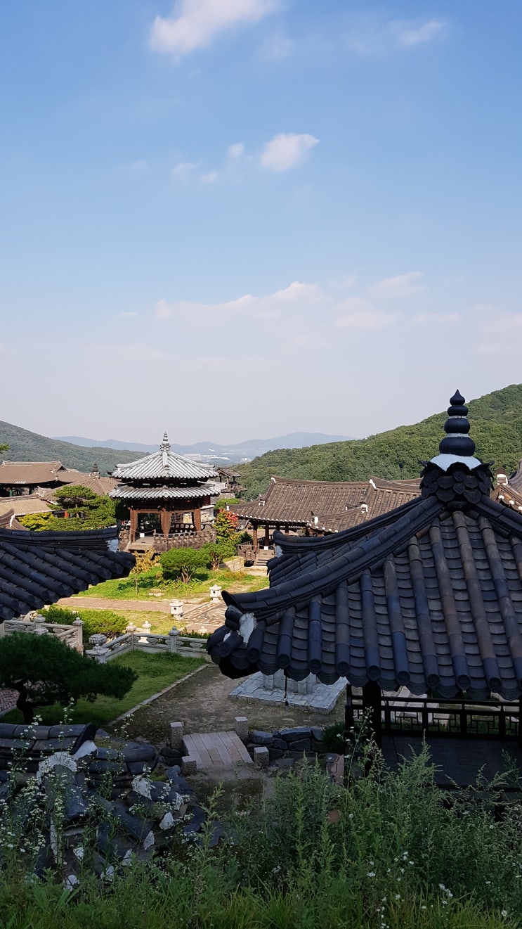  용인 대장금 파크 다녀온 후기 입니다 ^^