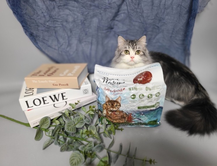 영양제와 보조제가 필요 없는 천연성분 가득한 건강한 리얼네이처 고양이 사료 추천(f. 헤어볼 사료)