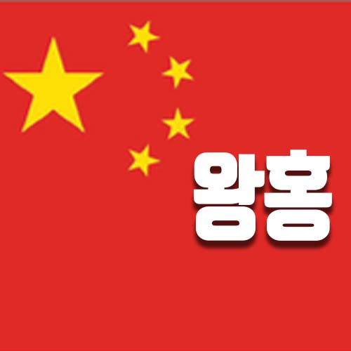  왕홍 뜻 알고가기 (지금 가장 강력한 마케팅)