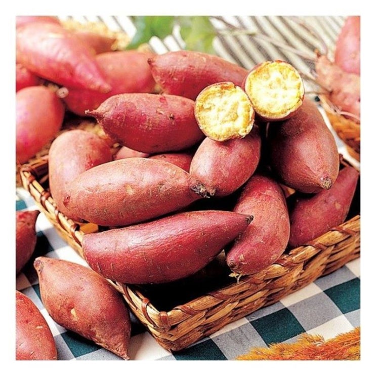  [대박할인] 푸르젠 20년산 햇 밤고구마 5kg 특대 22,900 원 