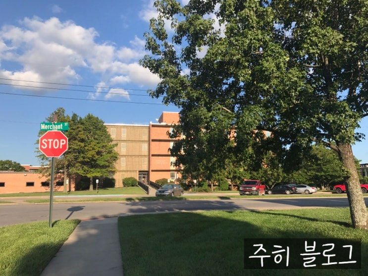  [미국] 교환 학생 시절 2 - 월마트 쇼핑, 한국 음식, 행사, 레스토랑, 도서관, 스벅, 마을 탐방