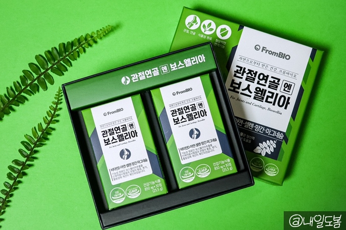  이병헌 보스웰리아 프롬바이오 관절연골엔 보스웰리아