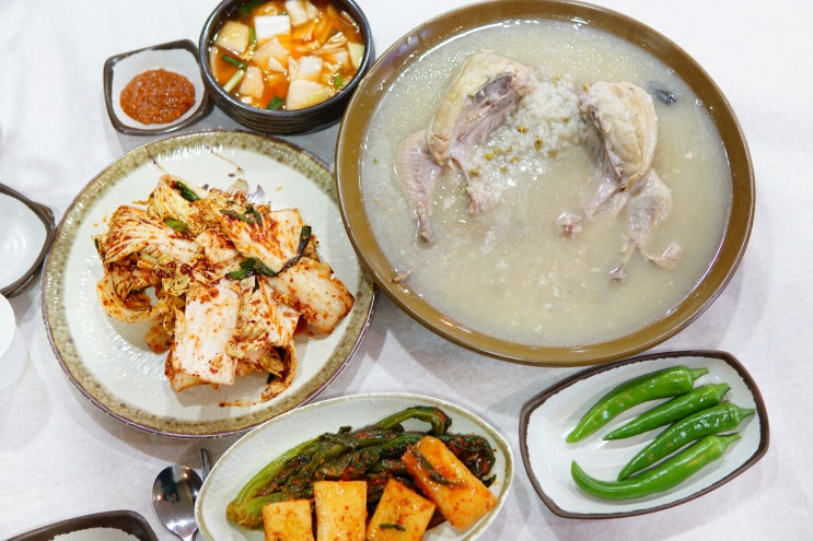  서판교맛집 : 운중동 백숙엔 운중본가 장수촌 美味