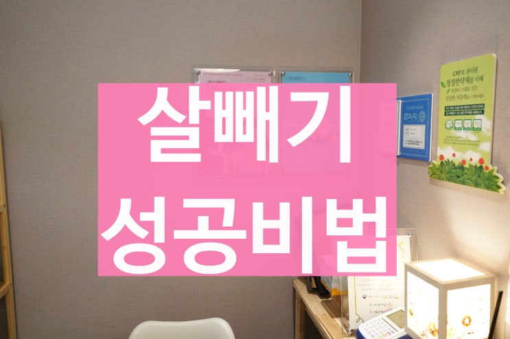  상동다이어트약 성공할 수 있는 방법들