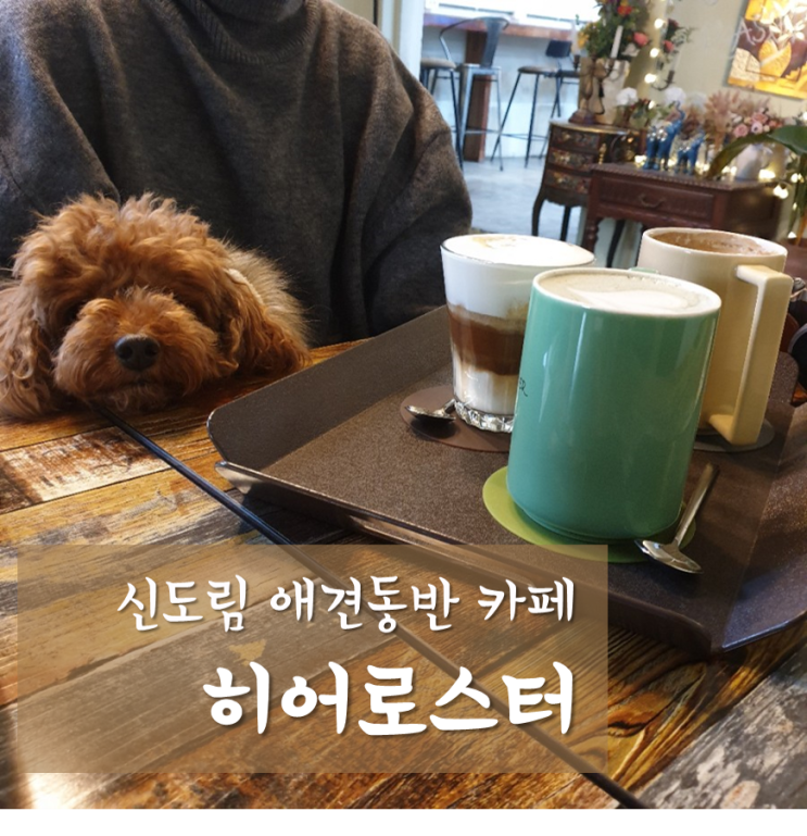  신도림 카페 히어로스터, 애견동반 가능 아늑한 분위기