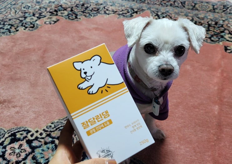  반려견의 튼튼한 관절건강을 위한 맛있는 웰빙간식 '이거면댕냥 잘달린댕' [반려견간식추천/애견영양제추천/강아지관절영양제/애견관절영양제/관절케어/슬개골강화/잘먹는간식/맛있는간식]