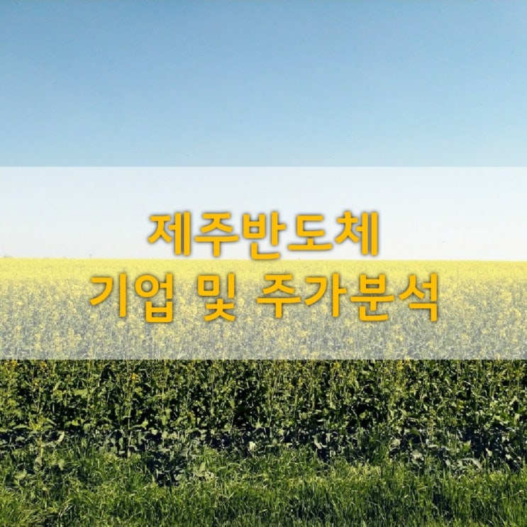  제주반도체 기업분석 및 주가분석(21.02.06)