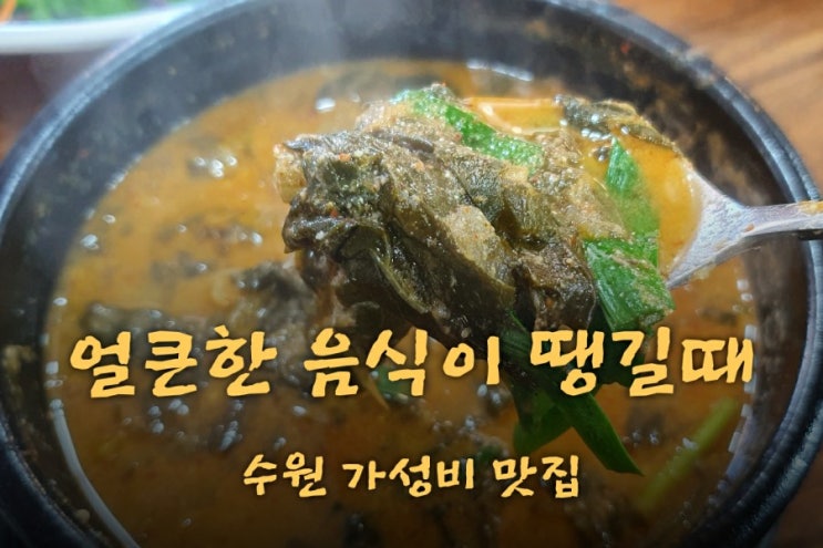  얼큰한 음식이 땡길때.. <수원 가성비 맛집>