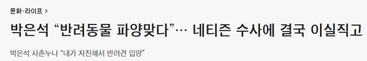 로건리 박은석 강아지 파양 - 반려인이라면 꼭 알아야하는 단어(1), 파양뜻