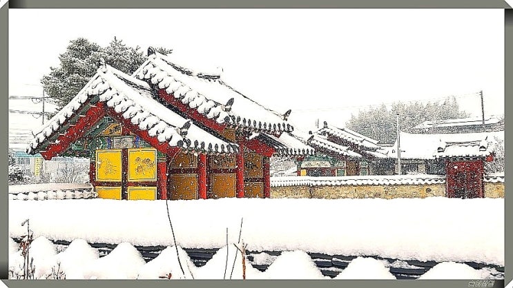  대설 주의보가 내린 전주 풍경