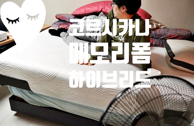  코르시카나 메모리폼 침대 지인 초대 사용 후기