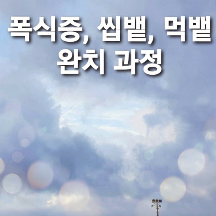  폭식증극복, 먹뱉 치료 과정 <완치>