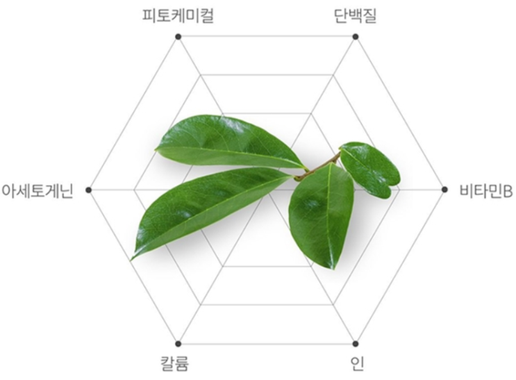  [울림나무]기적의 식물 그라비올라 스틱으로 간편하게 섭취하기