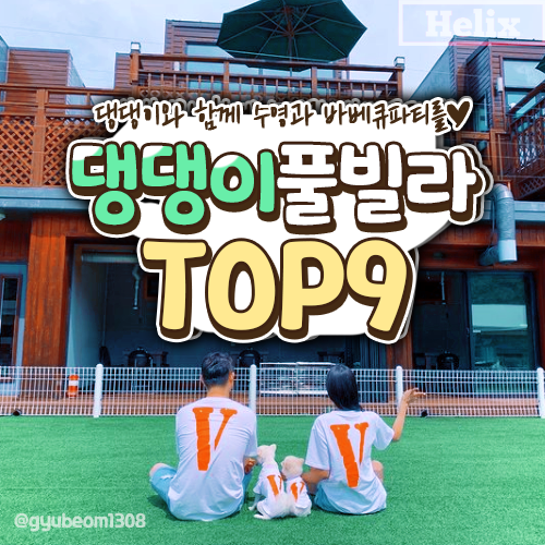  전국 강아지 풀빌라펜션 추천 TOP9 :: 댕댕이와 함께 떠나는 여행!