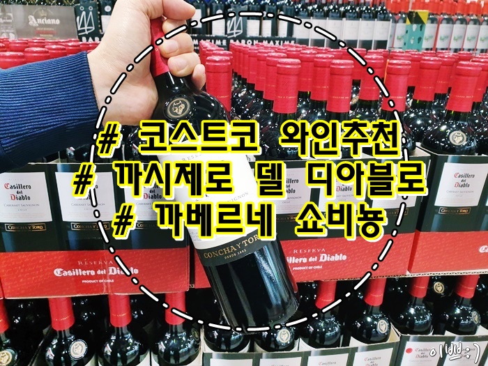  코스트코 와인 추천 까시제로 델 디아블로 까베르네 쇼비뇽