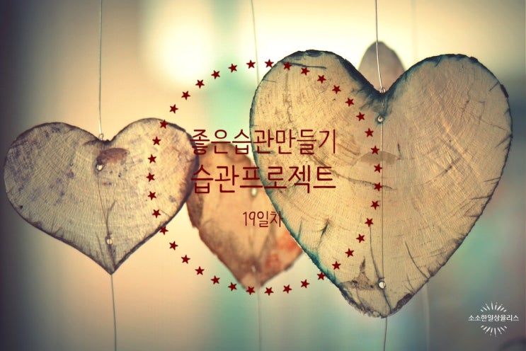  습관 만들기 프로젝트 19일차( 혼자 하는 시간)